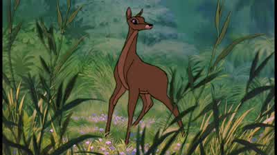 ♪ Hup, two, three, four ♪ ♪ Keep it up, two, three, four ♪ What beastly luck. - The Jungle Book
