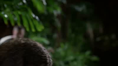 Hurley... - Lost