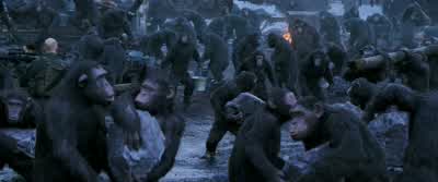 Hurry! Back to work! - War for the Planet of the Apes