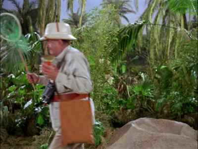 HURRY!
HURRY, EVERYBODY! - Gilligan's Island