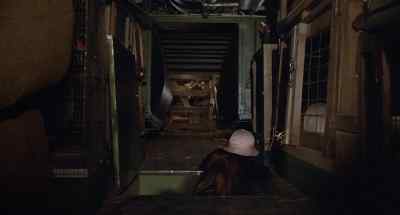 - Hurry, Julie!
- I'm up. - The Last Flight of Noah's Ark