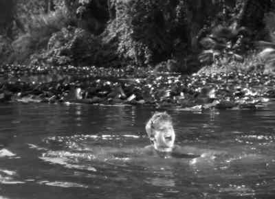 Hurry up, don't you ever want
to get to shore? - Tarzan and the Amazons