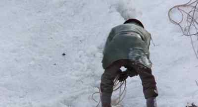 Hurry up! Help me! - White Fang