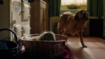 Hush, Jess. - All Creatures Great & Small
