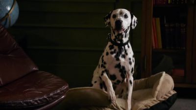 Hush, Pongo. You know Regina. - Once Upon a Time