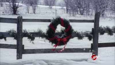 Hvorfor siger alle undskyld?
Jeg er glad. - Christmas Wedding Runaway
