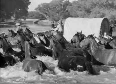 Hyah, cattle! Go! - Red River