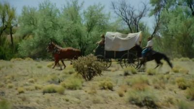 Hyah! Get him! Get him! - Two Sinners and a Mule