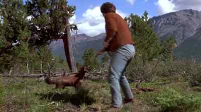 HYAH! GET! - The Bears and I