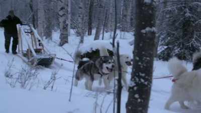 H'yah! H'yah! H'yah! H'yah! - Life Below Zero: Next Generation