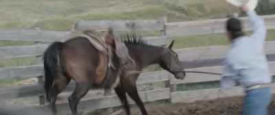 Hyah! Hyah! Hyah! - The Rider