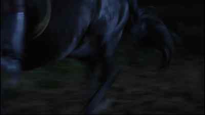 Hyah! - Black Beauty