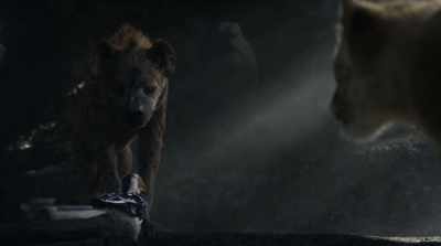 Hyenas and lions
have been at war - The Lion King