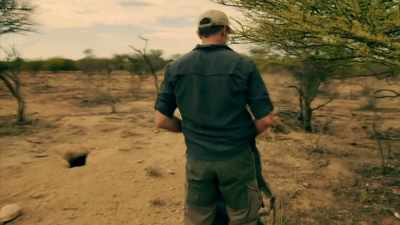 HYENAS TAKE OVER BURROWS DUG
BY OTHER ANIMALS LIKE WARTHOGS, - Expedition Mungo