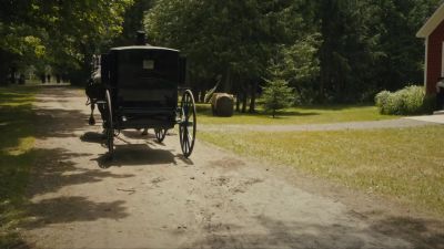               Hyuh! - Murdoch Mysteries
