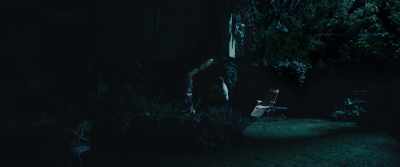 I was 12 when someone finally
chopped down my tree house. - The Kid Detective