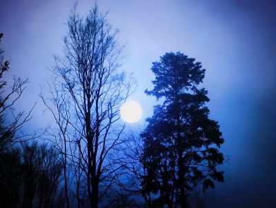I was 15 yards from it. - American Werewolves
