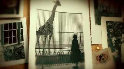 I was 23 and I'd been thinking
for 20 years about going, - The Woman Who Loves Giraffes
