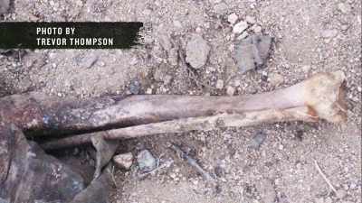 I was a little freaked out. - Buried In The Backyard