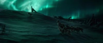A pack
can have only one leader. - The Call of the Wild