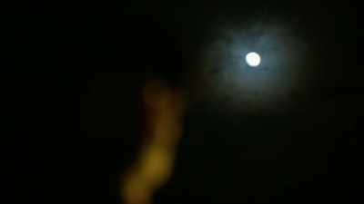 I had a sign on my door,
like, "Do not disturb." - Homicide Hunter: Never Give Up