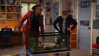 - I had a snake just like him
when I was a kid, - Side Hustle