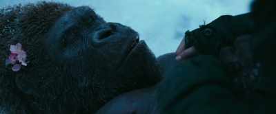 I was able to protect you... - War for the Planet of the Apes