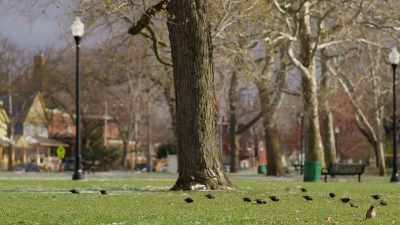 I was actually in my garden
when I got this phone call. - The Cleveland Kidnappings