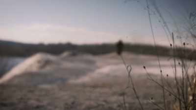 - I actually had my first
interaction with Bigfoot - Secrets of the Sasquatch