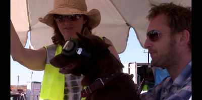 I actually really like working
with animals and children. - Koko: A Red Dog Story