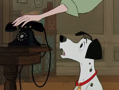 Roger I admit she's eccentric but she's not a thiefWell she's still number one suspect in my bookShe's been investigated by Scotland YardWhat more do you want I don't know darlingI don't know - One Hundred and One Dalmatians