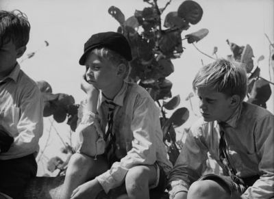 I agree with Ralph We've got to have rules and obey them - Lord of the Flies