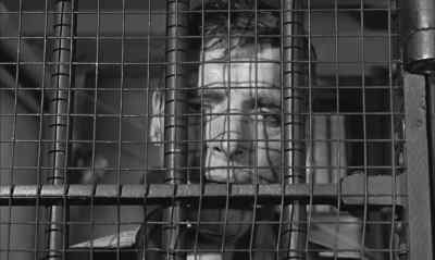 I ain't apologised to anybody in 20 years. - Birdman of Alcatraz