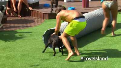 "I ain't jumping
over that shit." - Love Island