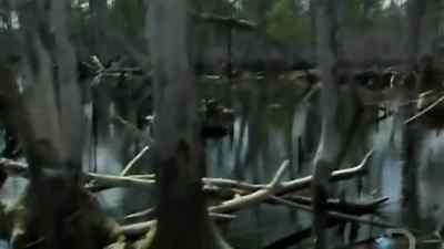 ALL I'VE GOT WITH ME ARE
A FEW BASIC SURVIVAL TOOLS. - Man vs. Wild
