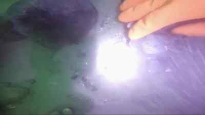 All right,
poke away, brother. - Bering Sea Gold