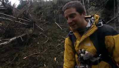 I also found some
shoots in other pine - Man vs. Wild