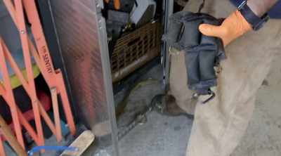 I also have ankle weights
because if you don't use - Sewer Divers