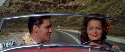 I was always baby I was always - Blue Hawaii