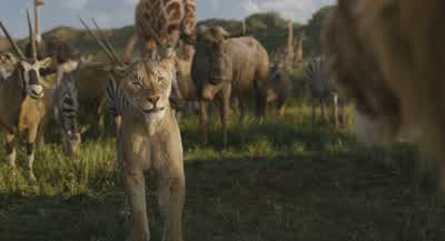 I always dreamed we'd be together again. - Mufasa: The Lion King