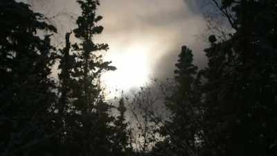I always gotta remember - Life Below Zero: Next Generation