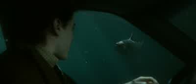 I always liked fish. - Mr  Nobody