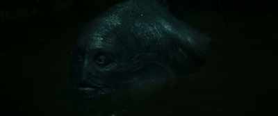 I am a poor tuna - Pinocchio