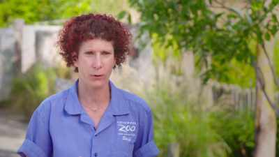 I am afraid that she's
gonna injure herself - Secrets of the Zoo