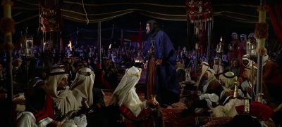 I carry 23 great wounds, all got in battle. - Lawrence of Arabia