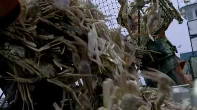  I am captain josh harris. - Deadliest Catch: Bloodline