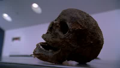 I am Dr. - Bones