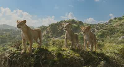 I am Mufasa a stray with no prideand yet I stand before youHead unbowedI know you're afraid but trust meNothing will change if we remain isolatedto our own tribeswithout concern for the fate of othersBut why should we stand with youThis is your fightToday - Mufasa: The Lion King