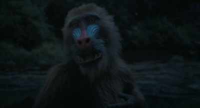 I am not a baboon.
I am a mandrill. - Mufasa: The Lion King