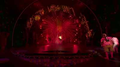 ♪ I am not, I am not, I am not - The SpongeBob Musical: Live on Stage!